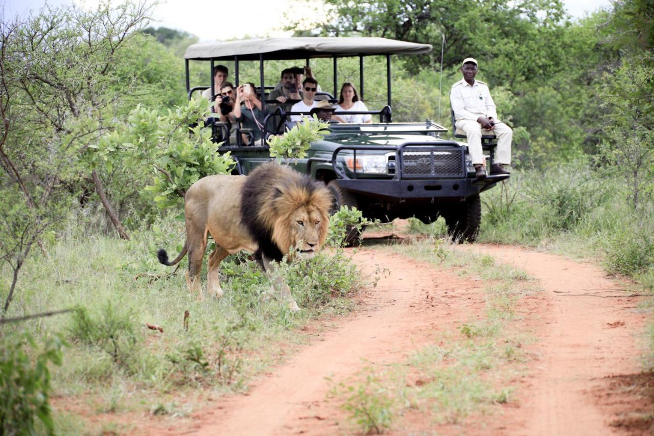 Karongwe Portfolio - Kuname Lodge Karongwe Game Reserve Exterior foto