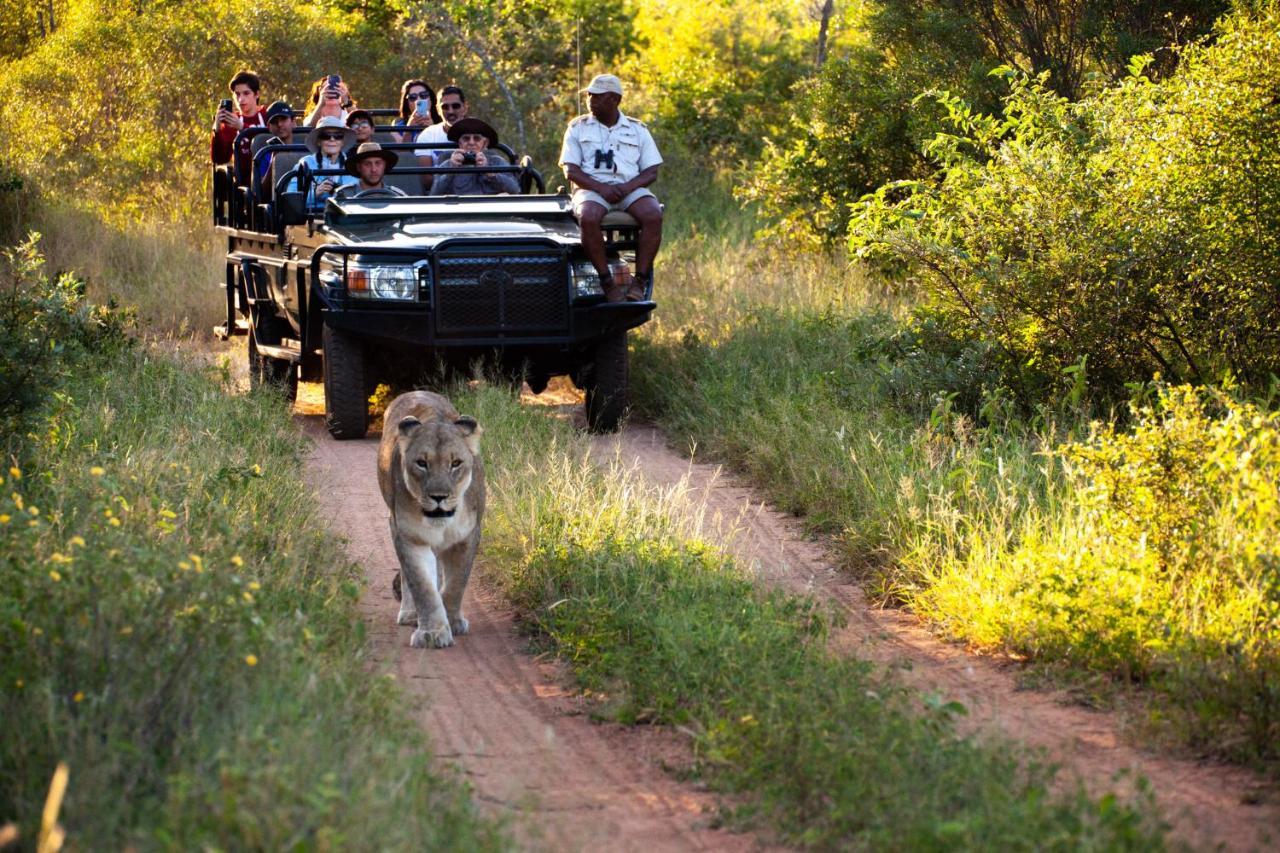 Karongwe Portfolio - Kuname Lodge Karongwe Game Reserve Exterior foto
