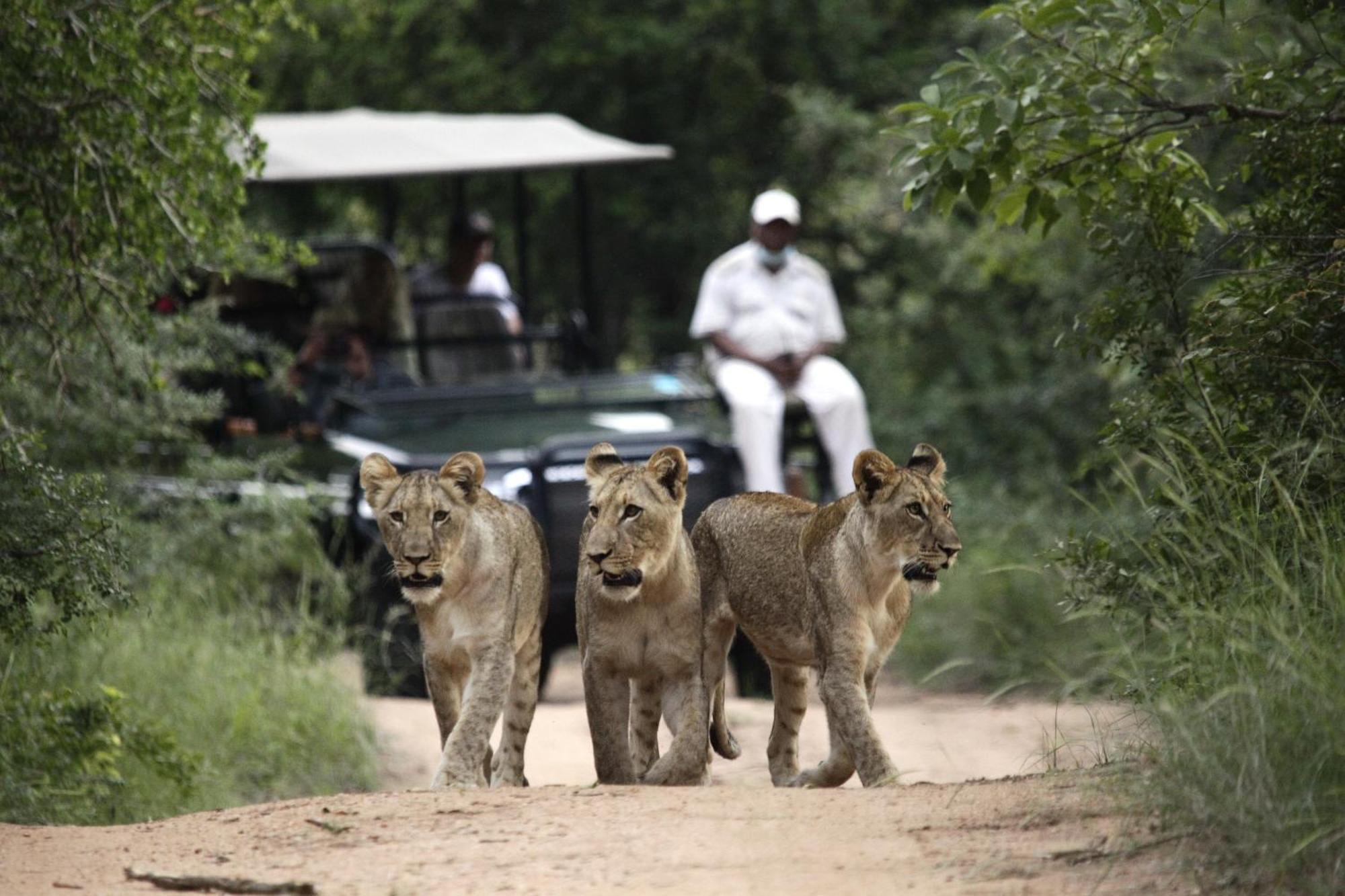 Karongwe Portfolio - Kuname Lodge Karongwe Game Reserve Exterior foto